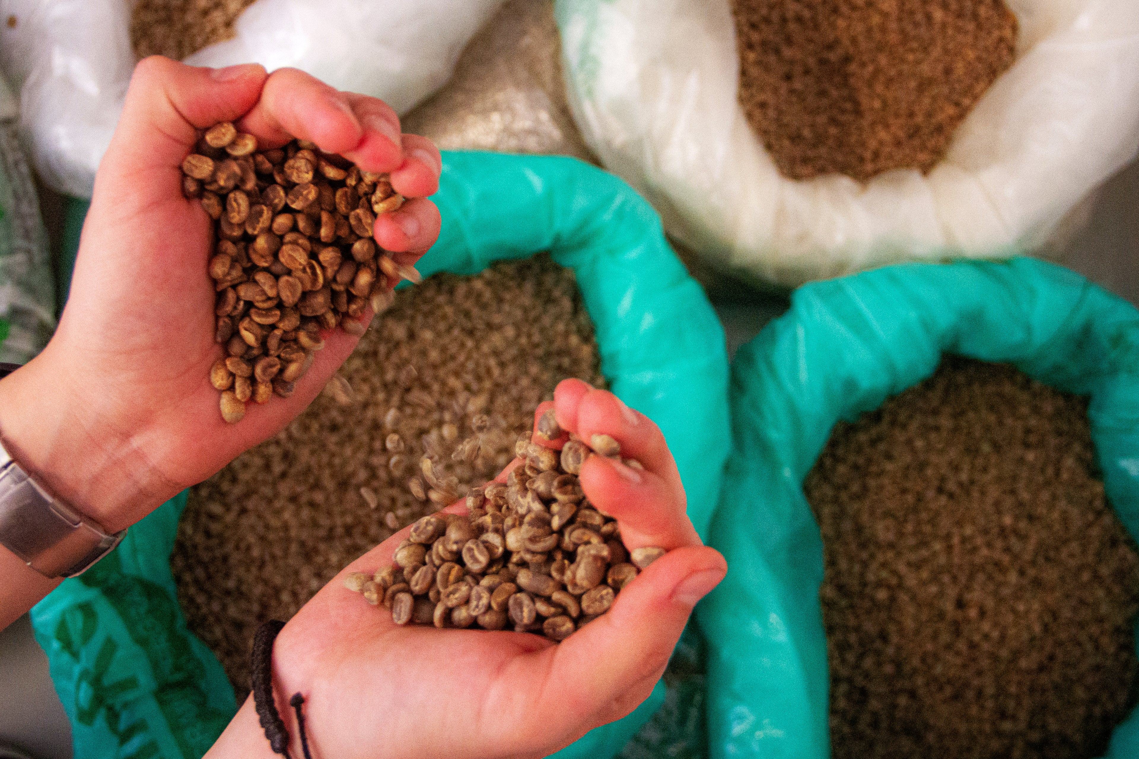 Everything You Need To Know About Single Origin Coffees