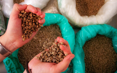 Everything You Need To Know About Single Origin Coffees