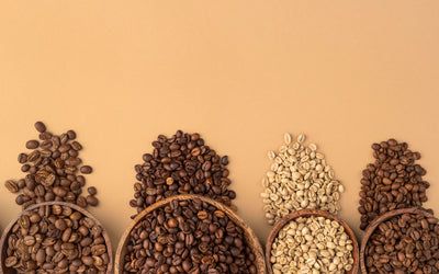 Coffee Roasts - Exploring the Spectrum of Light, Medium & Dark