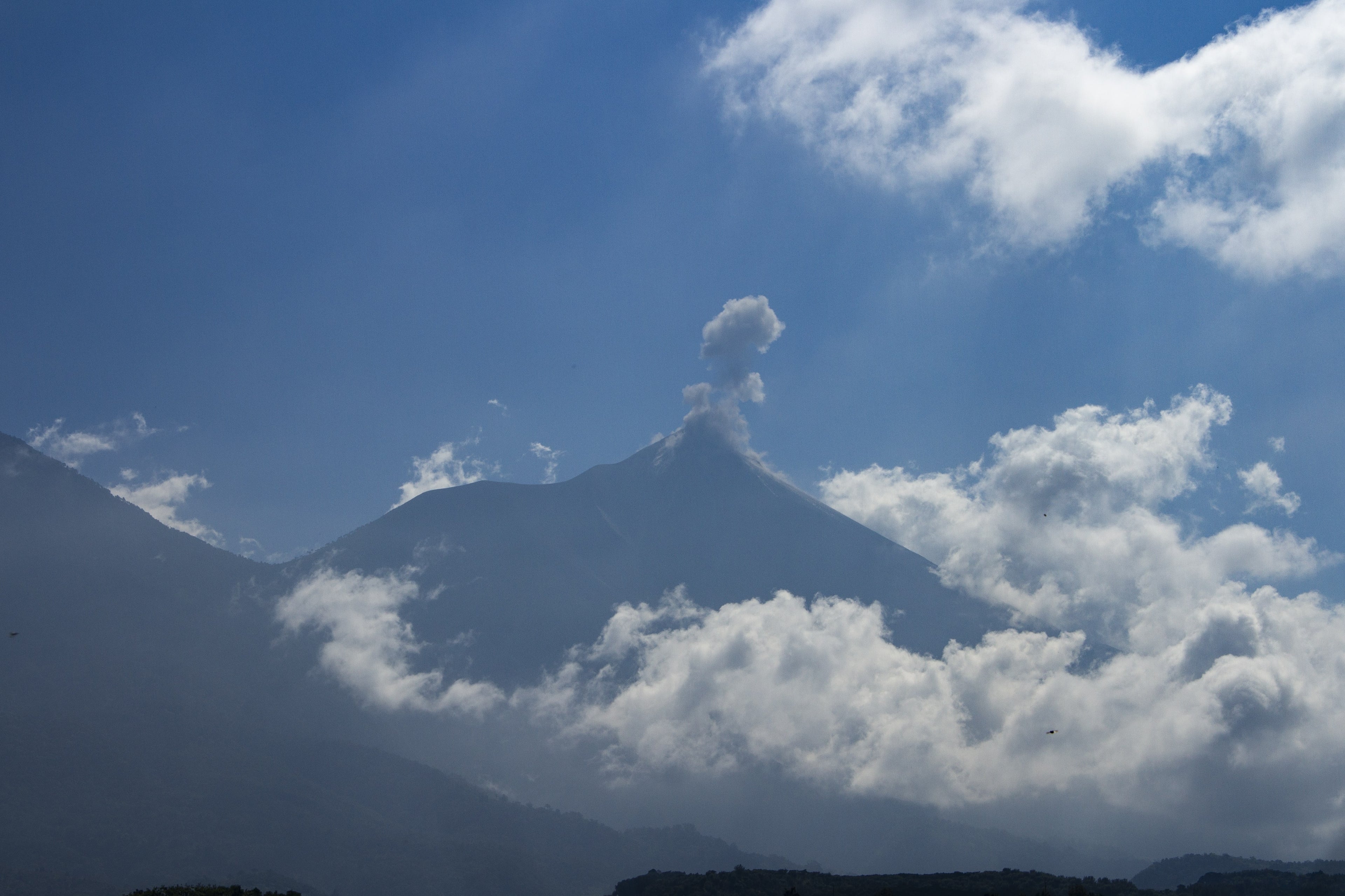 Guatemalan Coffee: Growing Regions And Unique Profiles