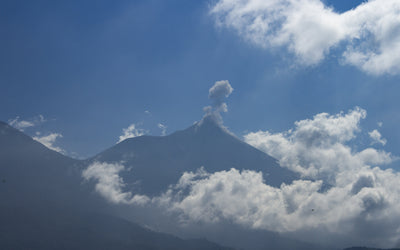 Guatemalan Coffee: Growing Regions And Unique Profiles