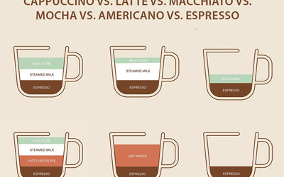 Cappuccino vs. Latte vs. Macchiato vs. Mocha vs. Americano vs. Espresso