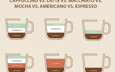 Cappuccino vs. Latte vs. Macchiato vs. Mocha vs. Americano vs. Espresso