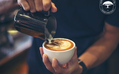 How To Make A Cappuccino