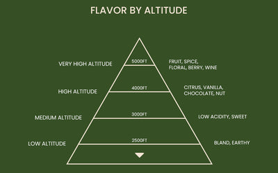 How Altitude and Climate Shape Specialty Coffee Bean Quality
