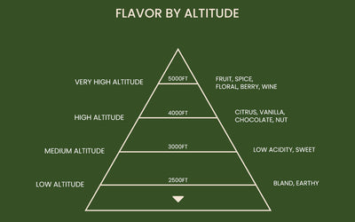 How Altitude and Climate Shape Specialty Coffee Bean Quality