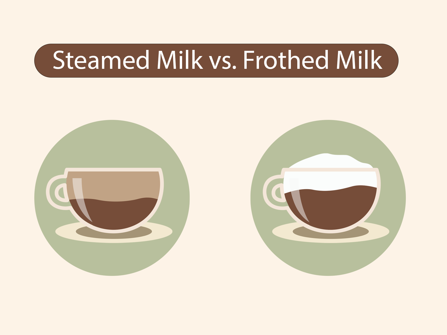 Frothed Milk vs. Steamed Milk: What's The Difference?