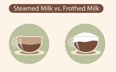 Frothed Milk vs. Steamed Milk: What's The Difference?