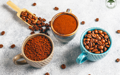 Coffee Grind Chart – The Best Coffee Grinding Guide