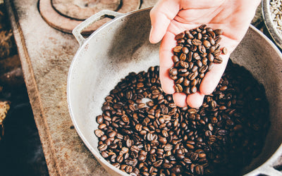 Different Types of Coffee Beans: Growing Regions, Profiles & More
